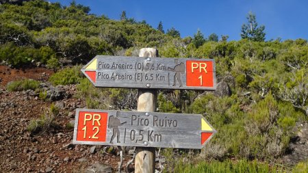 Bifurcation avec le PR1, chemin venant du Pico do Arieiro