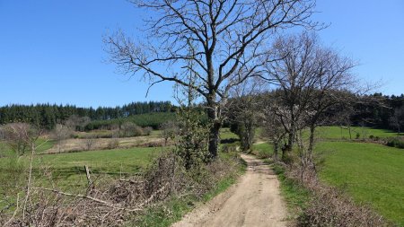 On arrive au Vinaigrier.