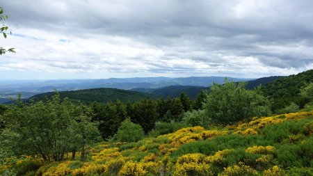 Vers les Monts du Vivarais.