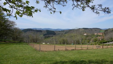 Le Beaujolais vu du Col du Châtoux.