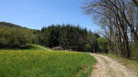 Arrivée à la Croix des Cochettes.