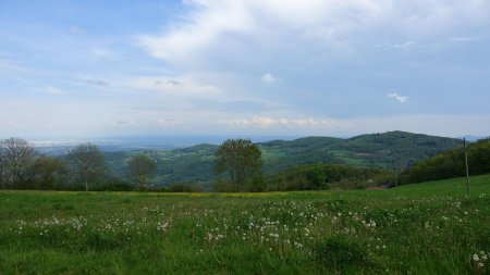 Du côté de la vallée du Rhône.