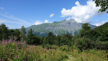 Vue arrière sur le Mont Joly.