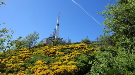 Montée vers le Crêt de l’Œillon.