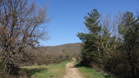 Montée vers le Mont Monnet.