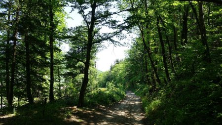 Descente vers le Col de Grenouze.