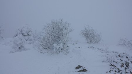 Montée finale vers le Crêt de la Perdrix.