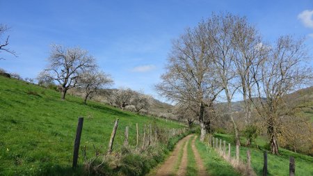 Vallon du Conant.