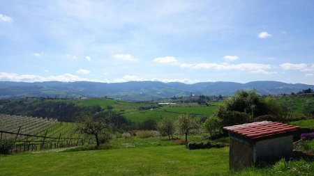 Bessenay et les Monts du Lyonnais.