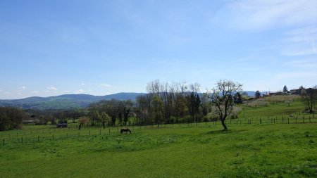 Au hameau de Biesse.