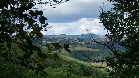 Saint-Martin-en-Haut.