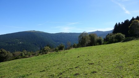 Chaux de Toureyre, Crêt de l’Œillon.