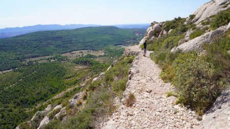 retour par le sentier marron