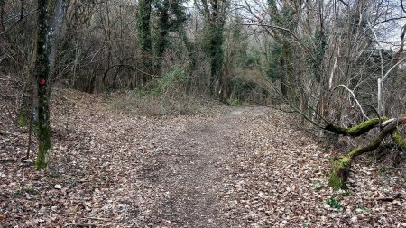 Le Sentier des Côtes démarre à gauche