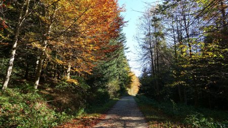 Toujours en direction du Pont Souvignet.