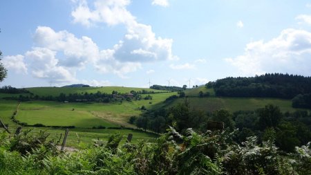 Le parc éolien, par lequel nous allons passer.