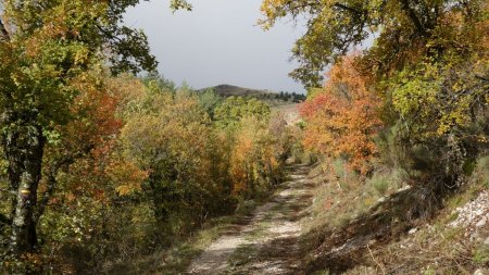 En direction du col des Chaux