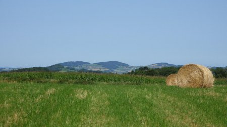 Le Signal de Saint-André, souvent nommé à tort comme étant le point culminant des Monts du Lyonnais.