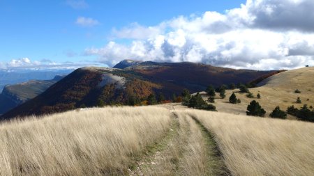 Magnifique Montagne de Lure