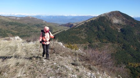 Vers le sommet de la montagne de Mare