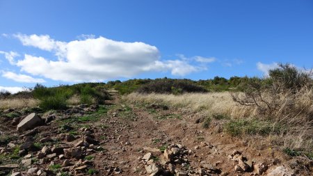 Remontée d’une crête panoramique que l’on va suivre jusqu’à la Terrasse.