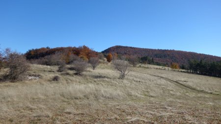 Arrivée au col de la Roche