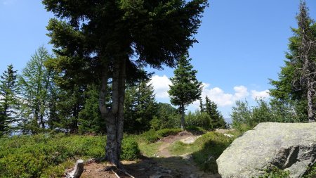 Sentier menant au Prarion, qui est au bout de la crête.