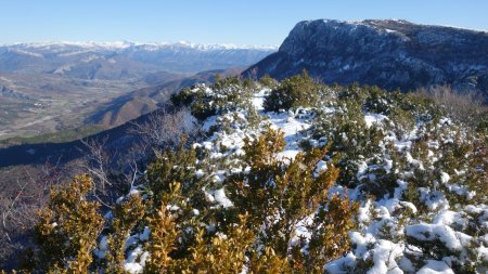 Sur la crête de Pélegrine. Vue arrière sur la montagne de Sumiou.