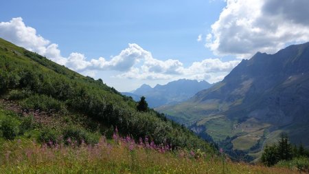 Du côté du Charvin.