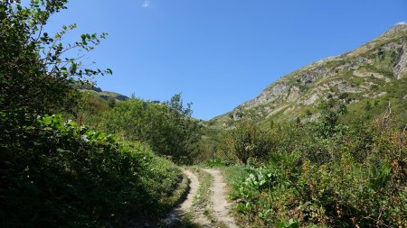 On poursuit la montée...