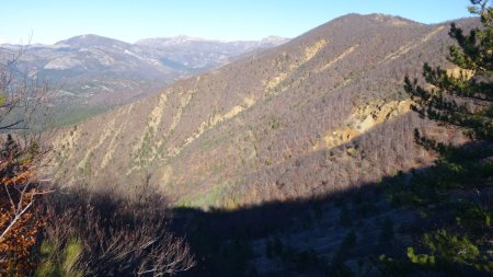 Descente face au sommet de Vaumuse.