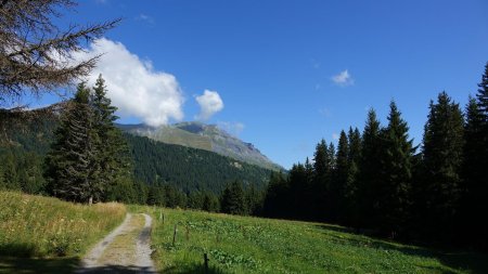 Mont Joly.