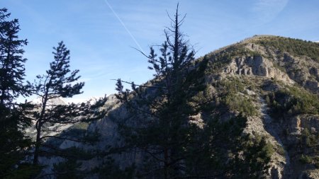 Là-haut, la Croix de Mourréen