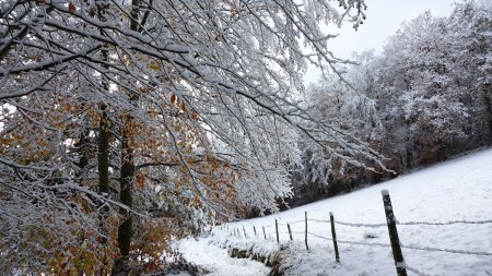 Descente vers la Combe.