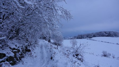 En direction de l’Aubépin.