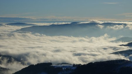 Brouillard.