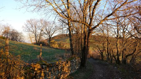 Retour vers Saint-André-la-Côte.