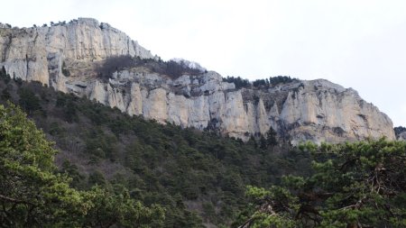 Falaises qui bordent le plateau de Glandasse