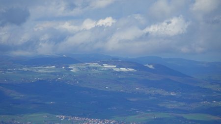 Il ne reste plus grand chose dans les Monts du Lyonnais.