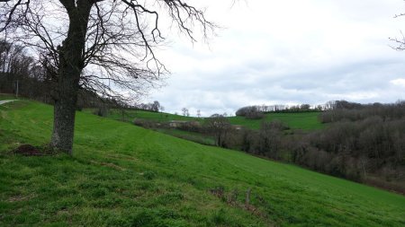 Hameau de Grange Neuve.