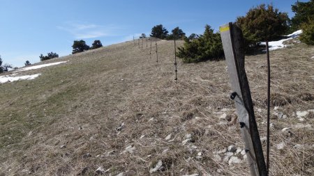 Montée enneigée côté nord, le long d’une ligne de poteaux