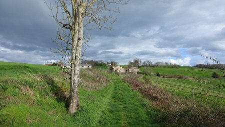 Montée vers la Côte.