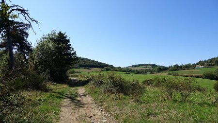 Dans le rétro.