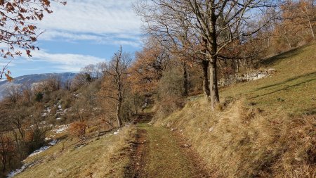 En direction du Charpenet.