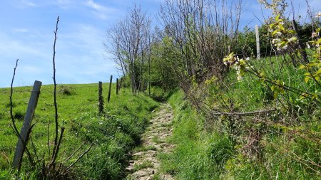 Montée raide sous le Jaboulay.