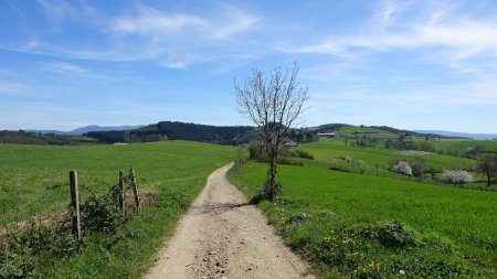 En direction de Valfleury.