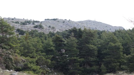 Vers la cime du Cheiron