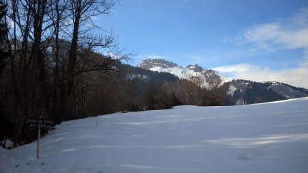 Collet de Tamié et Sambuy