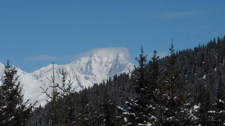 Mont Blanc