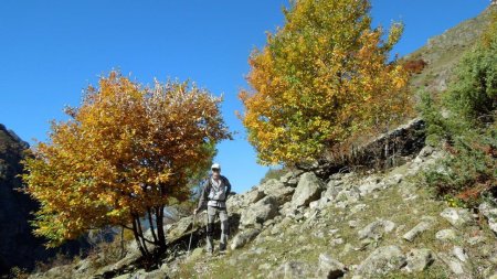 couleurs d’octobre 